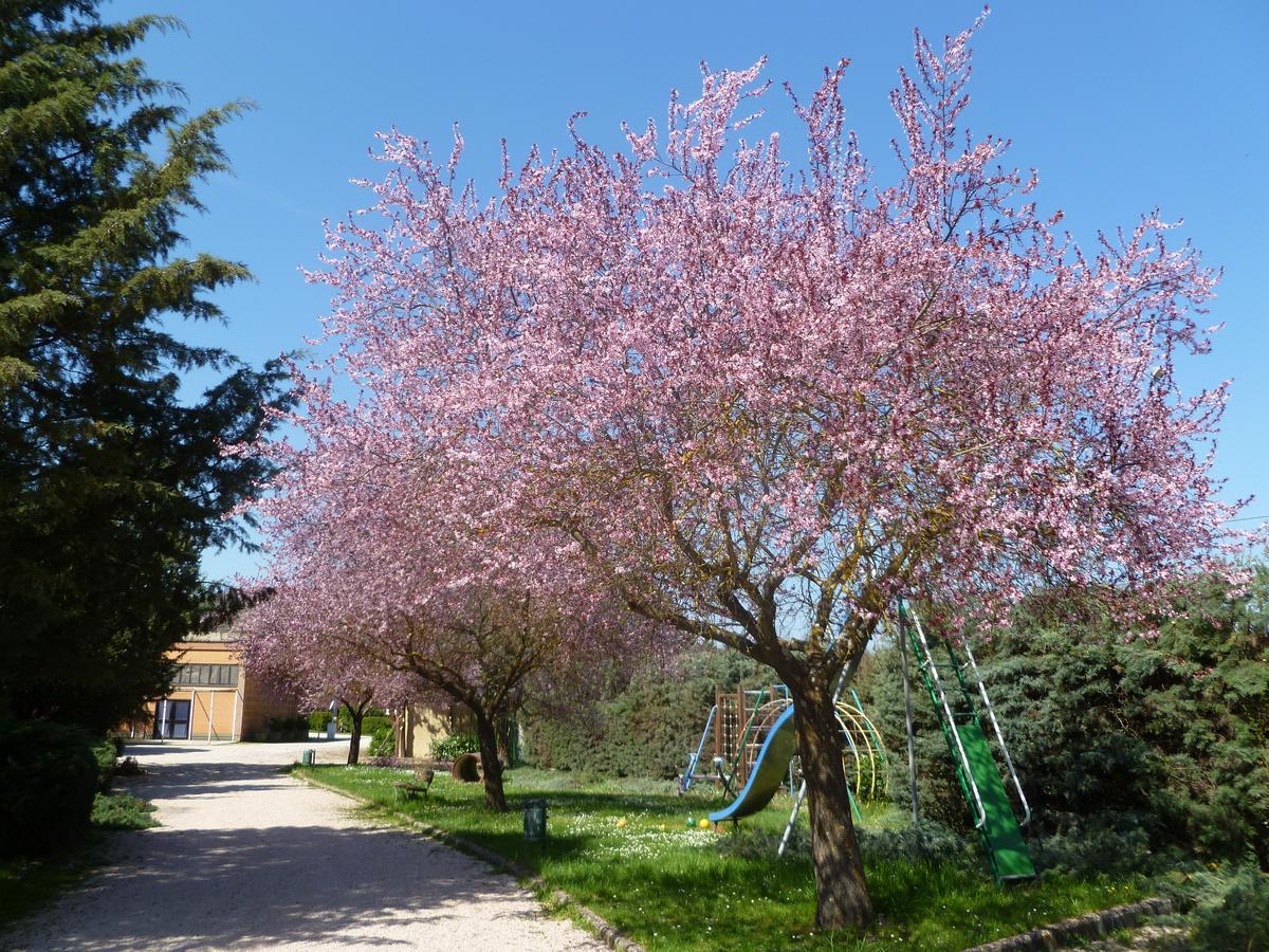 Colleverde Country House Colle Umberto  Eksteriør bilde